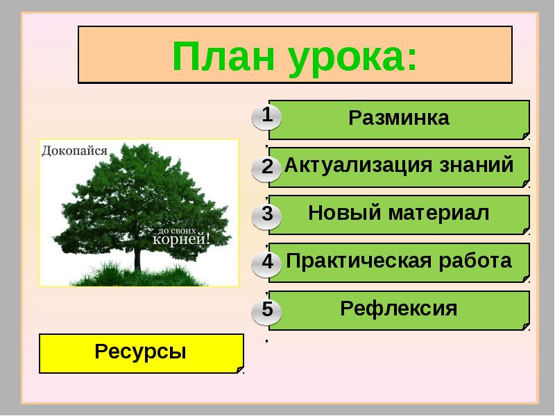 Информатика схема дерево - 94 фото