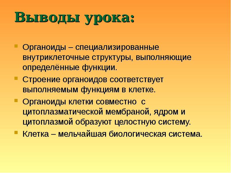 Сделайте вывод о строении. Клеточные органоиды вывод. Вывод по органоидам клетки. Вывод органоиды клетки и функции. Функции органоидов вывод..