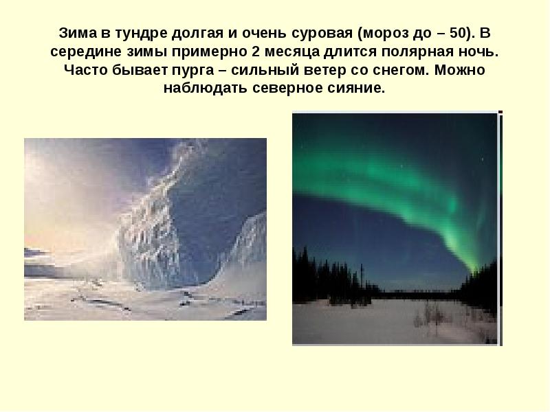 Текст полярной ночью в тундре когда солнце. Тундра Полярный день и Полярная ночь. Полярный день и ночь в тундре. Полярная ночь в тундре. Полярная ночь длится.