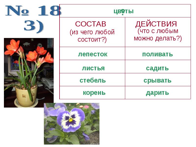 Мой цветок в моем классе. Цветок признаки и действия. Цветы 1 класс. Цветок признаки и действия 1 класс. Цветок свойства объекта.