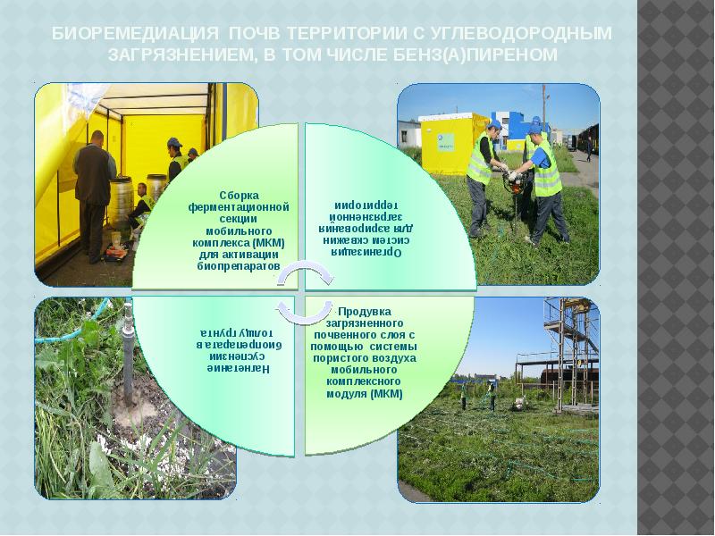 Биоремедиация почв загрязненных презентация