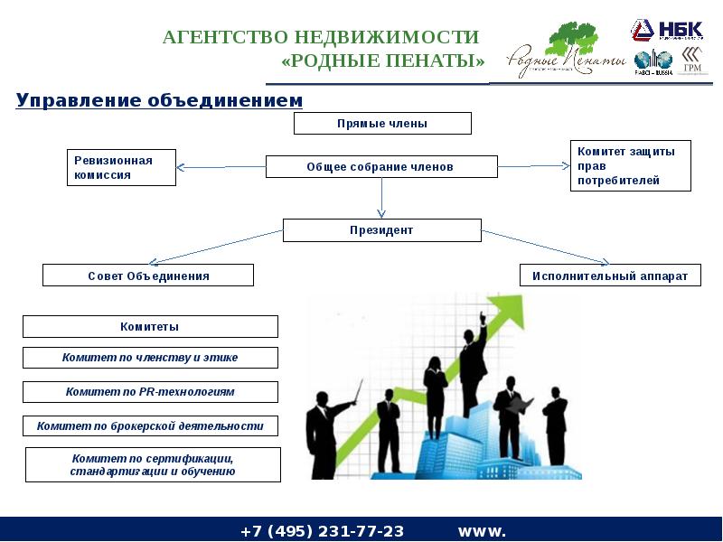 Структура агентства недвижимости схема