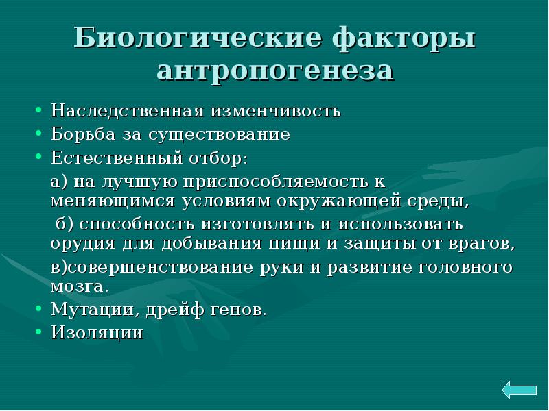 Установи соответствие факторы антропогенеза