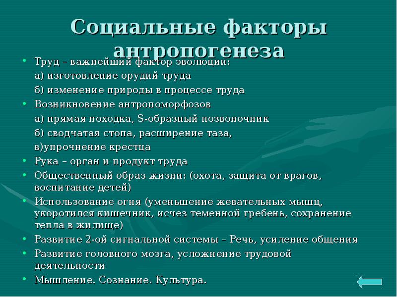 Биологические и социальные факторы эволюции человека презентация