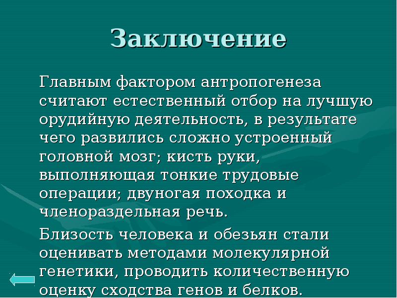 Антропогенез презентация 11 класс