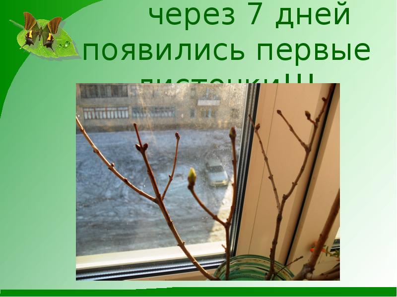 Через семь. Через 7 дней Весна. Через 7 дней Весна картинки. Через 1 день Весна. Через 10 дней Весна.