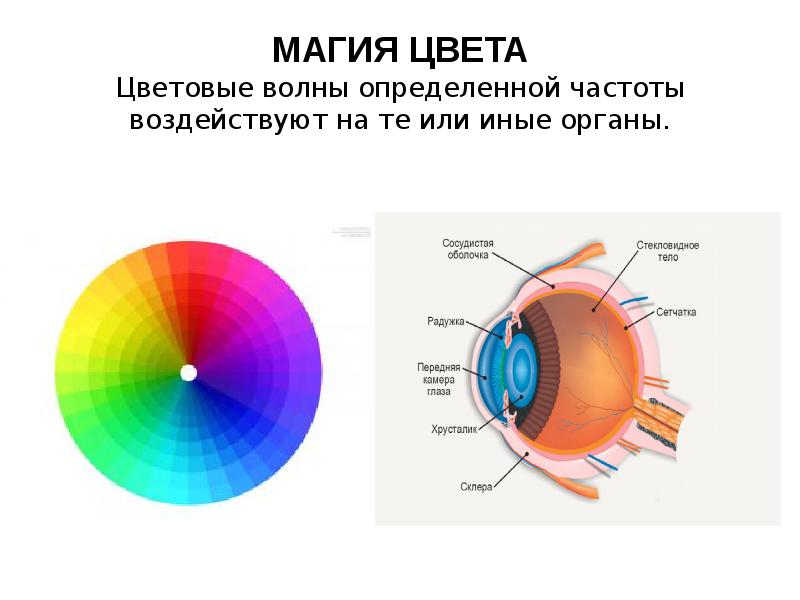 Магия цвета проект