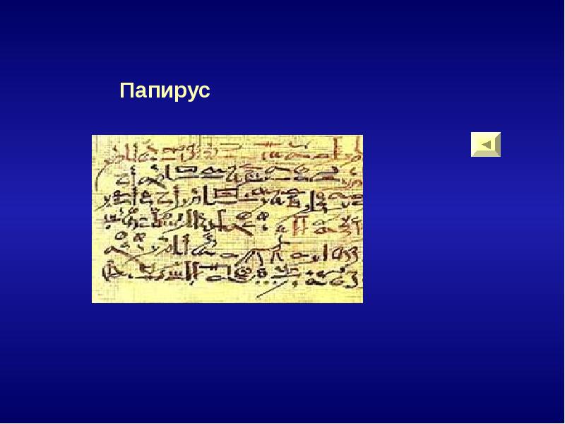 Папирус лексическое значение в информатике. Писчий материал. Папирус термин по истории 5 класс. Значение слова папирусный. Размеры растения папирус.
