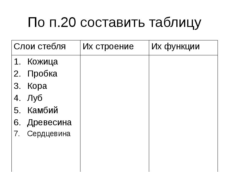 Таблица стебля. Таблица строение и функции стебля. Слои стебля таблица. Таблица слой стебля строение функции. Таблица элементов строение стебля.