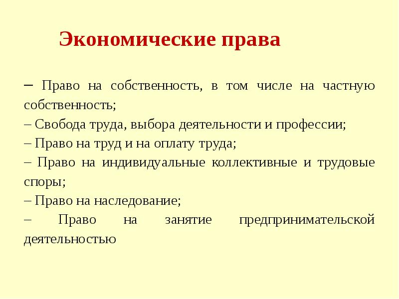 Проект социально экономические права