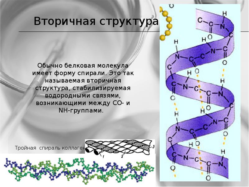 Структура спирали. Вторичная структура. Вторичная структура коллагена. Белковая молекула вторичная структура. Вторичная структура белка представляет собой.