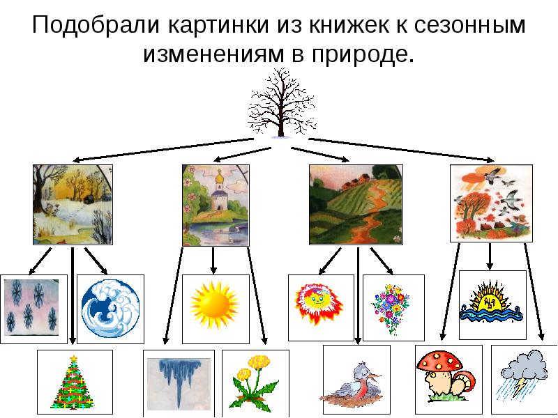 Презентация сезонные изменения в природе 5 класс