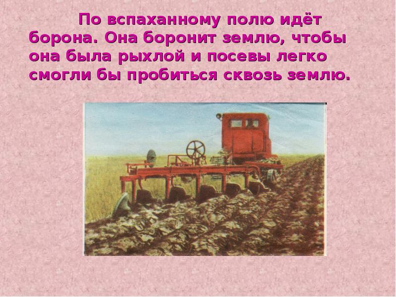 Ходи поли. Посеянное поле два брата боронят. Скороговорка «борона боронила неборонованное поле». Боронить землю предложение. Что означает слово боронить.