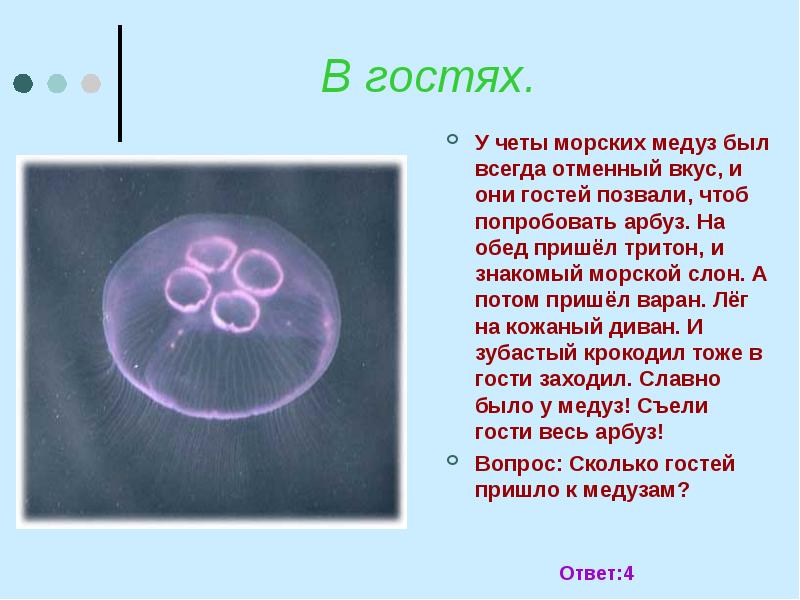 94 Медуза ответы. У четы речных медуз был всегда отменный вкус. Вопрос с отгадкой на медузу. Мы Голодные медузы похожи на арбузы. У медузы есть мозги