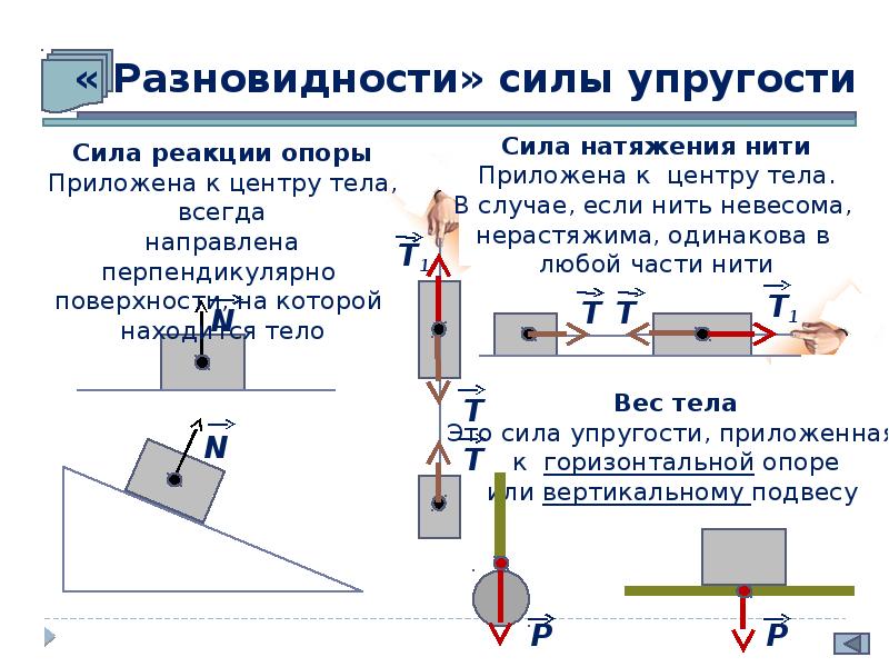 На рисунке показать направление и точку приложения силы тяжести и веса тела