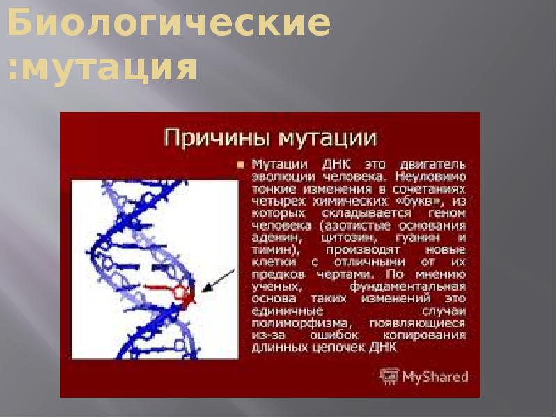 Причины индуцированных мутаций. Мутагенные факторы. Биологический мутагенез антигены. Биологические мутации. Мутагены днк.