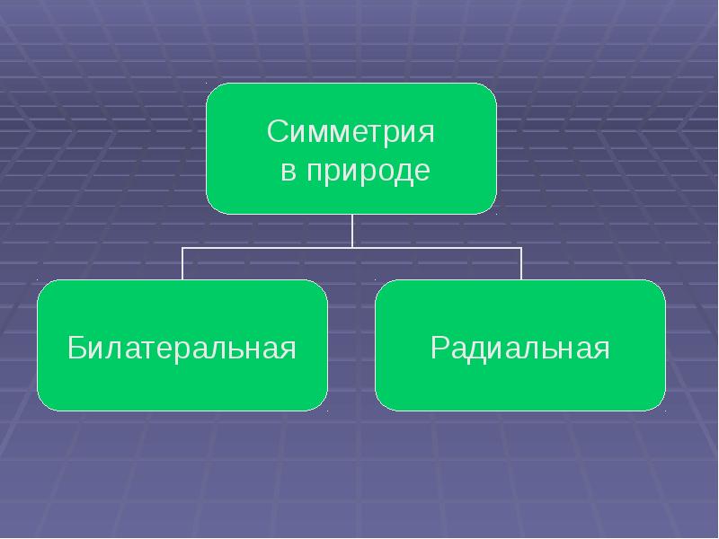 Этот удивительный симметричный мир презентация