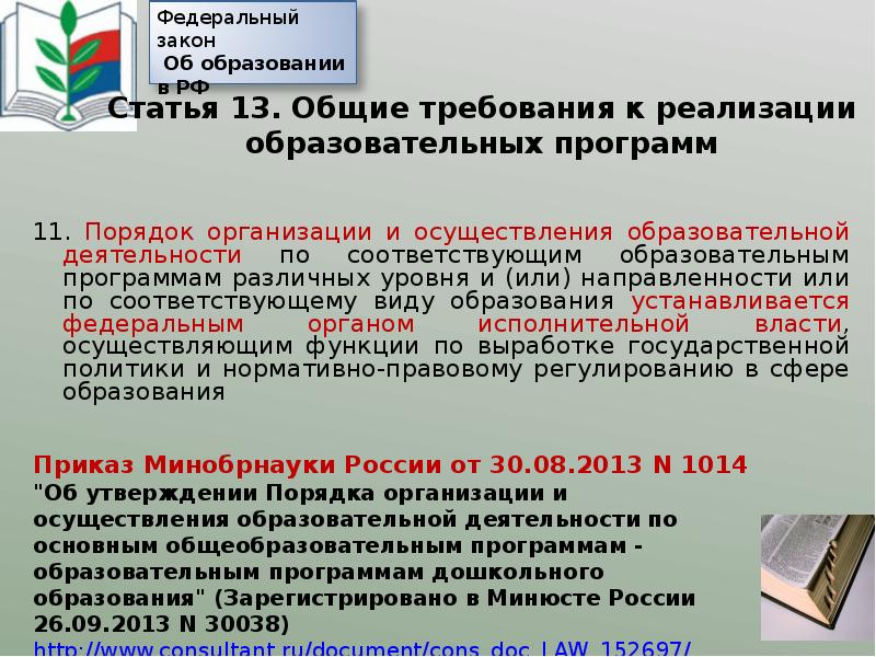 Приказ порядок осуществления образовательной деятельности