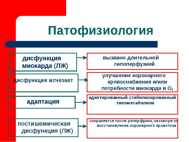 Нарушение функций миокарда. 1. адаптация миокарда к длительным нагрузкам.. миокардиальная дисфункция.