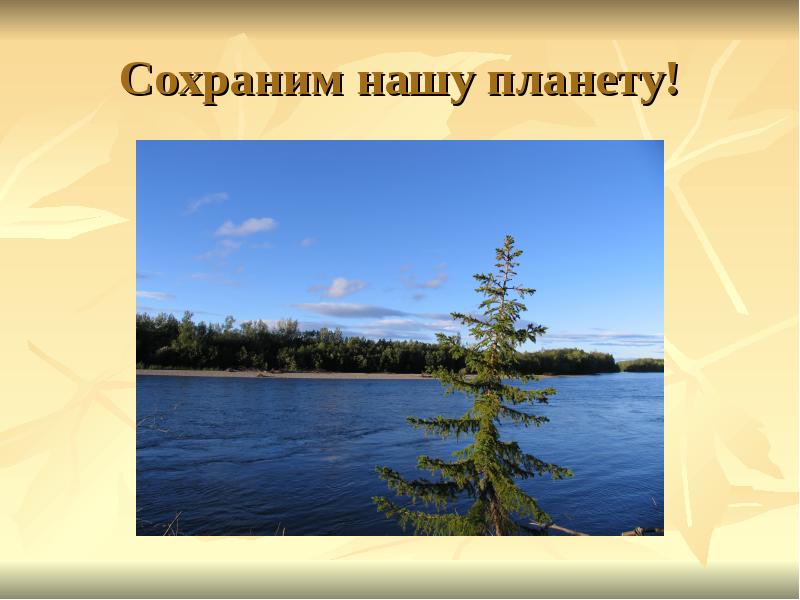 Какие художественные приемы использует поэт для создания картин бушующей природы медный всадник