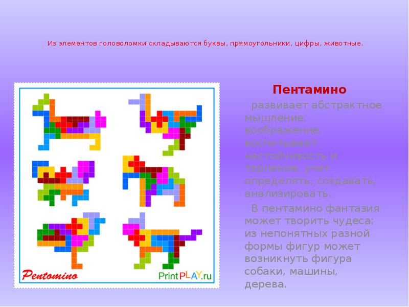 Пентамино презентация 5 класс