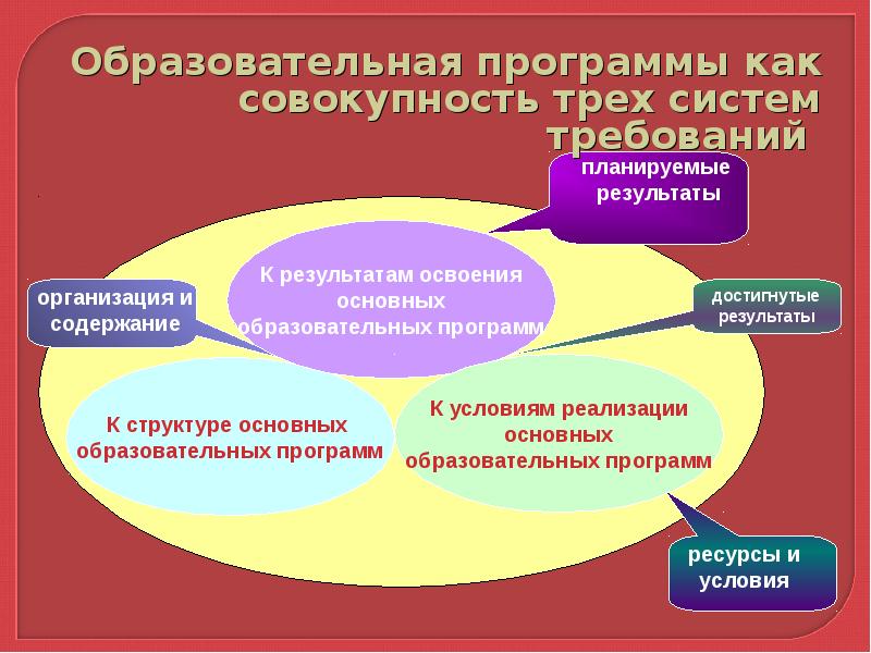 Организация освоения образовательной программы. Пилотные образовательные программы что это.