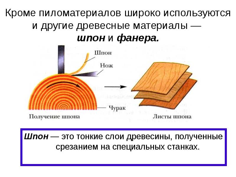 Как называется природный рисунок на поверхности древесины