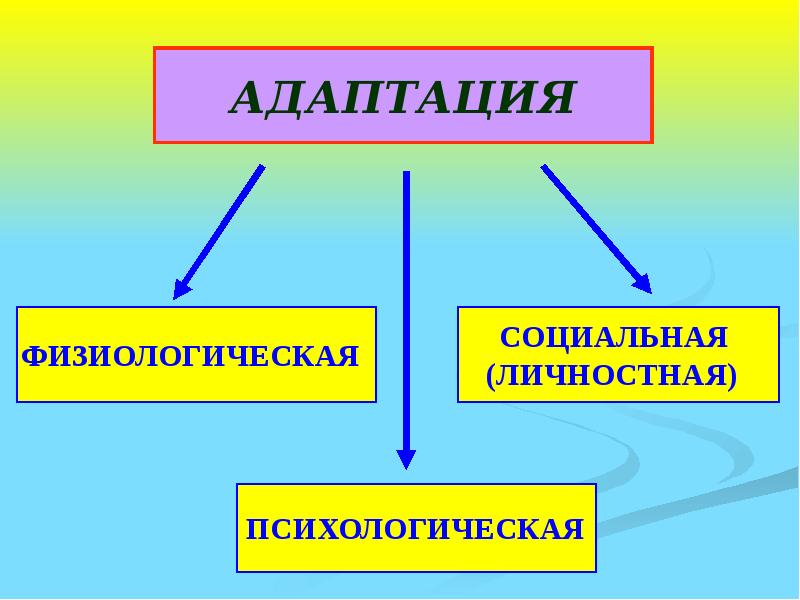 Адаптация картинки для презентации