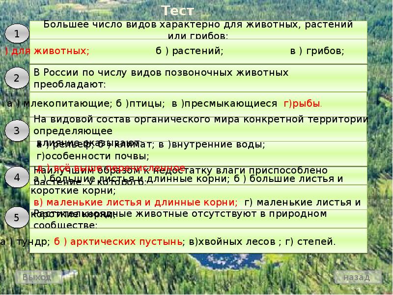 Выход ответ 2. Число видов растений. Для растений характерно. Большее число видов организмов характерно для. Количество видов грибов превышает количество видов растений.