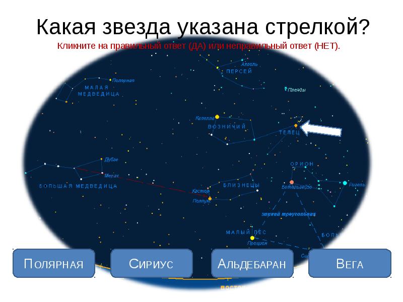 Звездное небо великая книга природы. Сириус и Полярная звезда. Какие звезды. Самая яркая звезда Сириус или Полярная звезда. Какая звезда указана стрелкой.