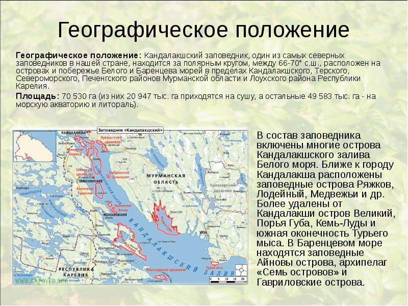 Кандалакшский заповедник презентация