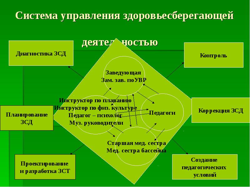 Управленческий проект в школе по здоровьесбережению