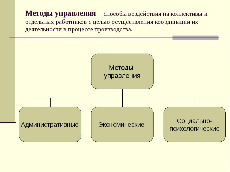 Предпринимательская структура организации