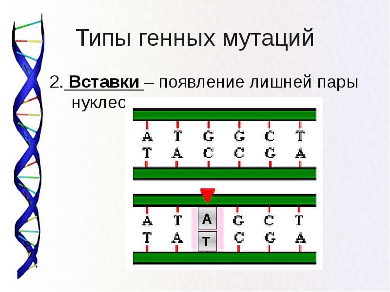 Мутация презентация қазақша