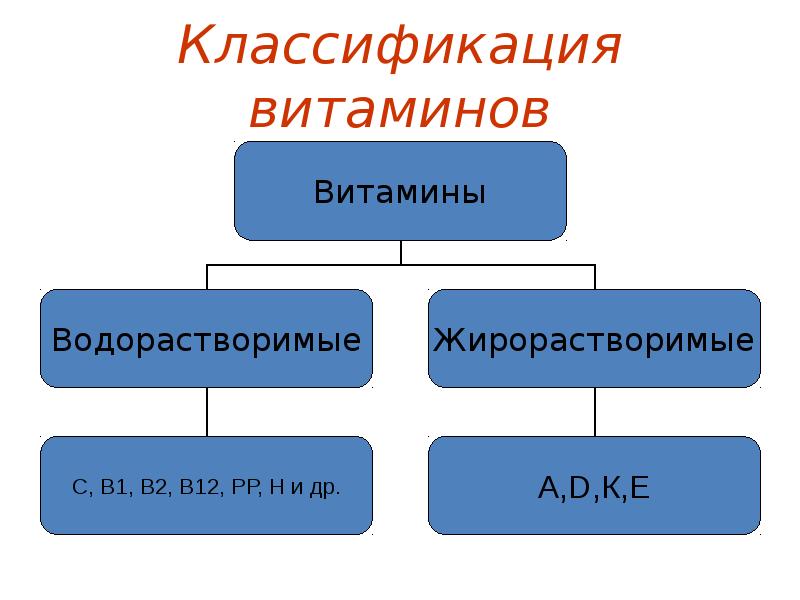 Классификация витаминов