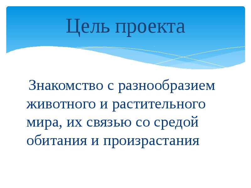 Цель животные. Цель проекта животные и растения. Цель проекта на тему животные. Цель и задачи проекта животных животные. Цель проекта на тему мир животных.