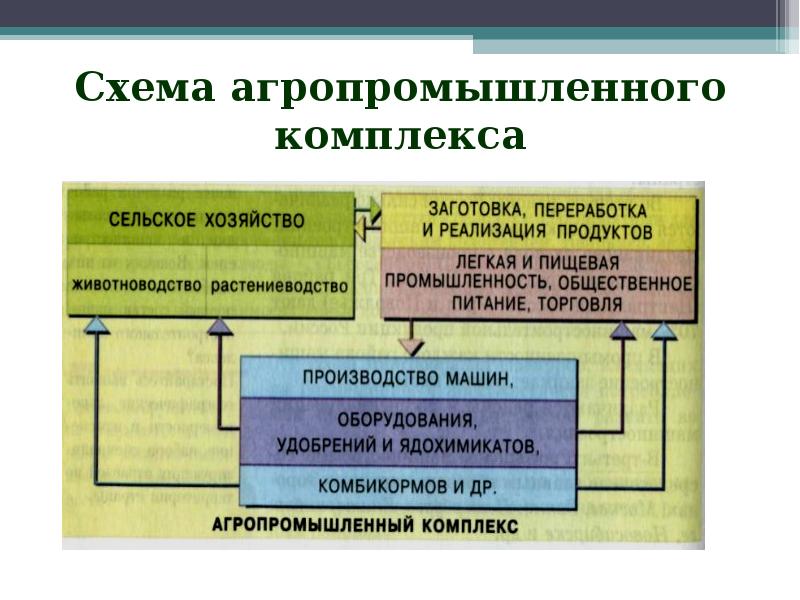 Отрасли апк. Агропромышленный комплекс схема. Структура АПК схема. Взаимосвязь отраслей агропромышленного комплекса. Аграрно-промышленный комплекс схема.