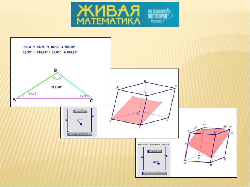 Живая математика проект