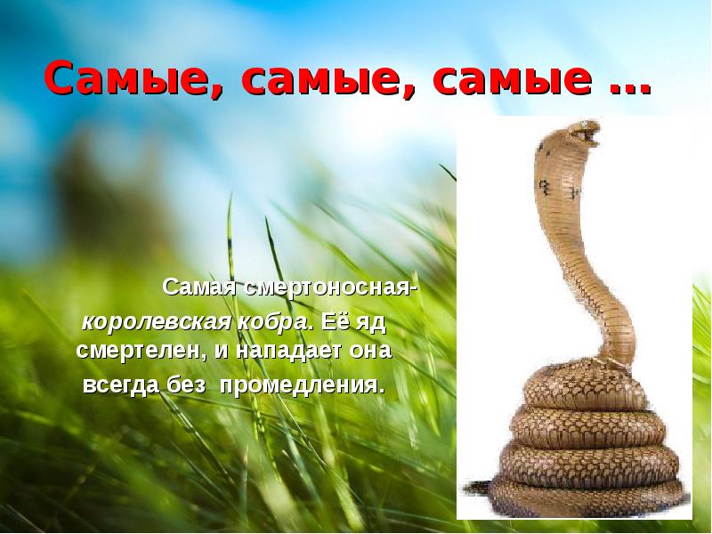 Самые самые самые 3 4. Тема самые самые. Презентацию по теме: 