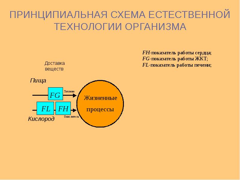 Естественные технологии. Схема естественного питания. Лизинун слайд.