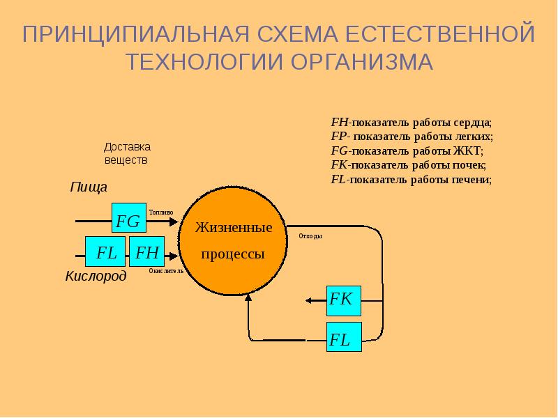 Естественные технологии