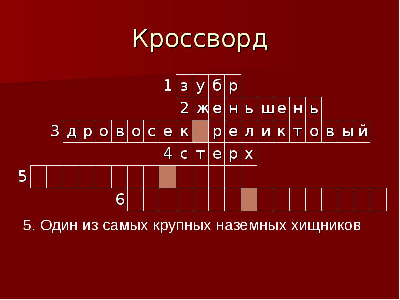 Кроссворд
