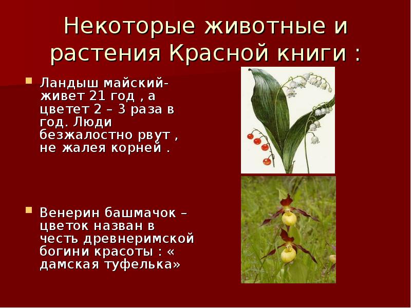 Включи растения красной книги