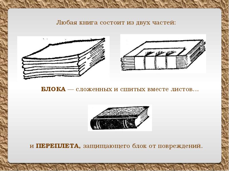 Как называется книга с картинками