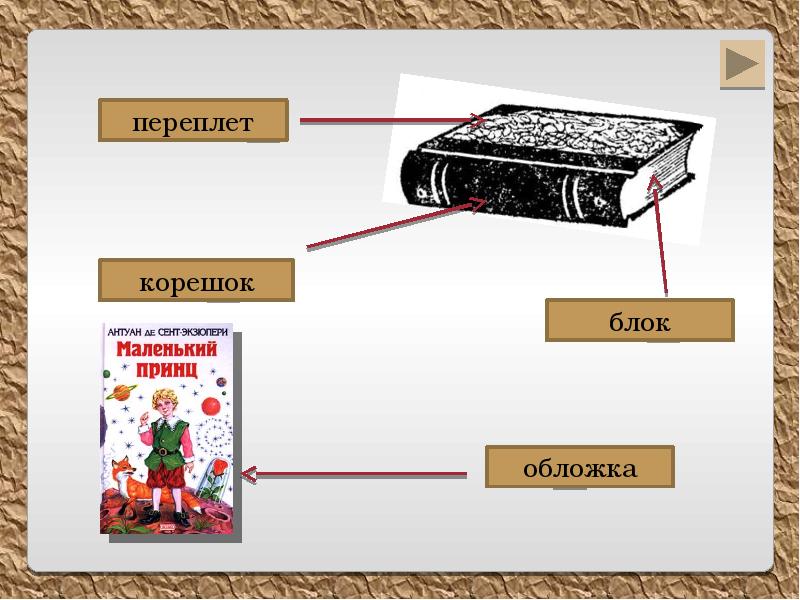 Части обложки. Части книги. Основные части книги. Составные части книги. Переплет и корешок у книги.