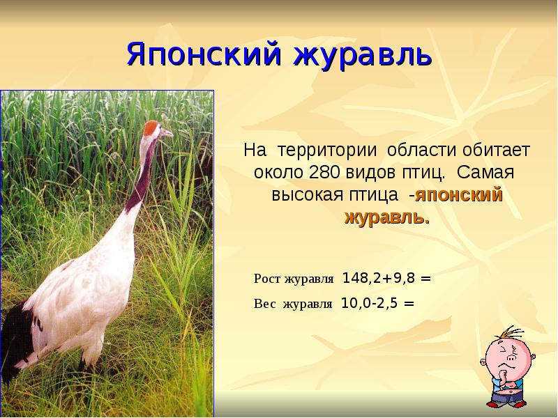 Журавль на английском. Императорский журавль. Журавль на английском. Маньчжурский красноголовый журавль. Императорский журавль.