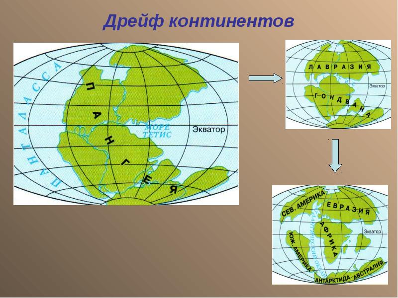 Схема гипотеза дрейфа материков