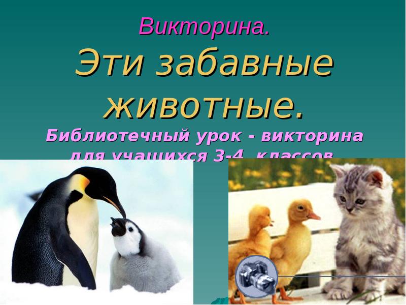 Фото Викторина Животные