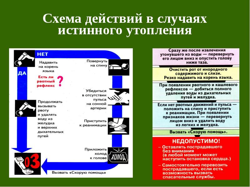 Действия в случаях. Схема действий в случаях истинного утопления. Первая помощь при истинном утоплении. Схема оказания помощи при истинном утоплении. Оказание первой помощи при истинном утоплении.