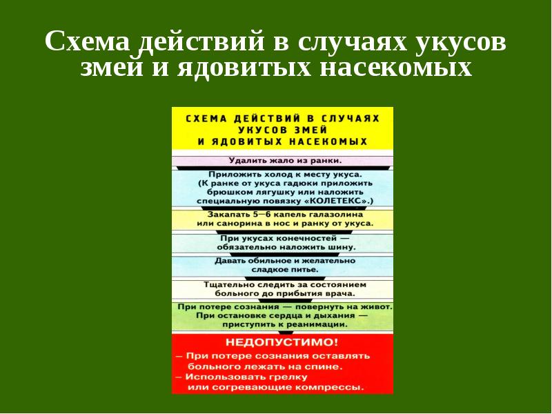 Схема действий в случаях химических ожогов кожи